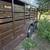 Livestock Trailer 4 thumbnail