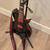 Metal Time! Mint ESP/LTD Gary Holt GH-600NT, black & red, active EMG's 6 thumbnail