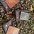 Learher Passport covers Wholesale 4 thumbnail