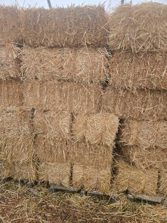 WHEAT STRAW IN BARN 1