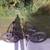 2022 SPECIALIZED JETT 24 SATIN SMOKE/FLAKE SILVER 24" Wheels Kids Hybrid Bike 3 thumbnail