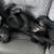 $35.00/Night Dog Boarding - Cozy Stays & Belly Rubs! 11 thumbnail