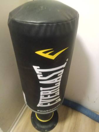 Everlast Power Core punching bag 1