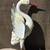 Big white bird and friends, yard or pond art 2 thumbnail