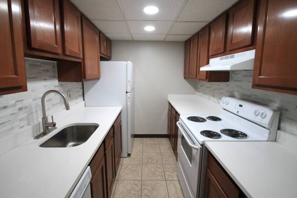 Awesome 1 Br😍 1