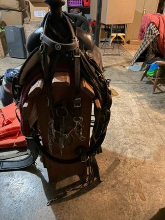 16 inch Cadora saddle 1
