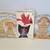 11 Large Books for Preschool to 1st grade 2 thumbnail