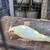 Cockatiels 2 thumbnail