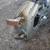 mustang 3 thumbnail