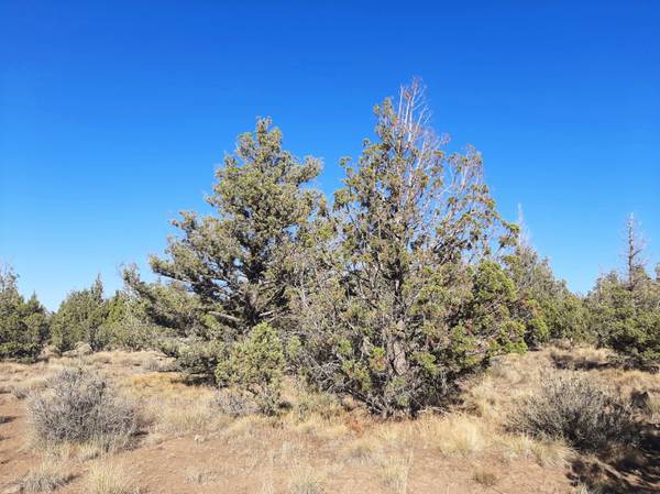 $79,900 Nice lot with good views! (Prineville)63839291089411124