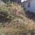 🍂Landscape Maintenance -Seasonal Cleanup - Property Clean Out🍂 4 thumbnail