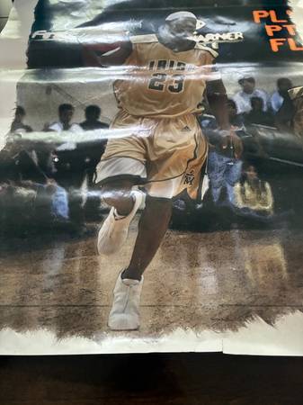 Lebron James Highschool Poster - 24"-20" 1