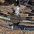 GT xcr1000 full suspension MTB, large. 4 thumbnail