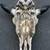Authentic Bison Skull 4 thumbnail