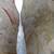 H.C. & E.J. Zann Coin Silver Bright Etched Master Butter Knife 1 thumbnail