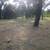 Brush & weed clearing 2 thumbnail