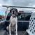 Great dane X dutch shephard greyhound whippet doberman 12 thumbnail