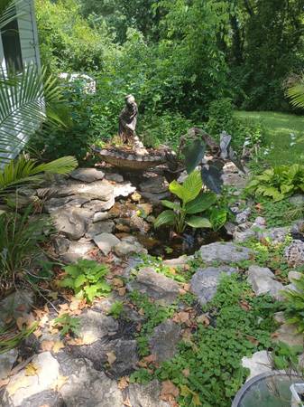 Room for rent st.peters 1