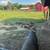 IPP Piglets 1 thumbnail