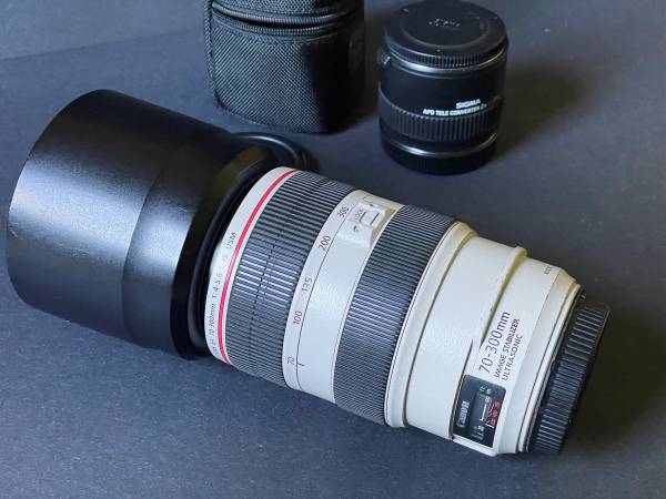 Canon EF 70-300 f/4 a 5.6 L IS USM - $60063471431167105121