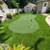Artificial Grass Turf $0.99 Sq Ft 5 thumbnail