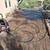Monsoon help/Handyman/Landscaping/Tree trim/Powerwash $25 hrly/per job 2 thumbnail