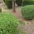 Mitchel landscaping 3 thumbnail