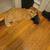 Ginger Tabby Male Cat (Vaccinated & Spayed) 11 thumbnail