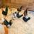 Flock of Malaysian Serama chickens 2 thumbnail