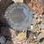 Joshua Tree Secluded 5 Acres, for Camping, Near Park & Mountains 6 thumbnail