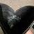 Justin Black Exotic Lizard Womens Boots 4 thumbnail
