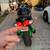 2003 Kawasaki ZZR 1200 (Mint) 3 thumbnail