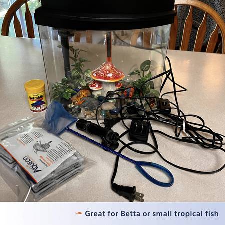 Aquarium Set Up 1