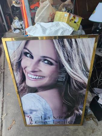 Julia Roberts Lancome commercial poster 1