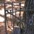 two antique hand wrought riveted iron gates spade tip heavy 2 thumbnail