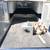 CARGO GLIDE ROLLER BED/DECK FOR 8' TRUCK BEDS 2 thumbnail