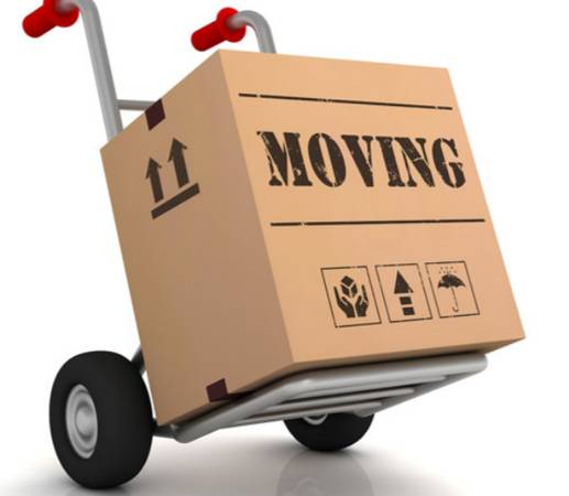 ROCKLAND SMALL MOVES 1