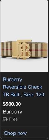 Burberry belt 1