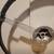 Banjo Steering Wheel 18" Diameter 2 thumbnail