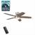 TUCSON UPSCALE CEILING FANS AND LIGHTING AUCTION Friday 7:30pm 10/10/2 1 thumbnail