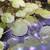 Red root Floaters & frogbit 8 thumbnail
