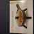 Bella Electric Skillet, Waffle Maker, Toastmaster Personal Skillet 2 thumbnail