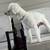 2 yro mini Poodle boy 5 thumbnail