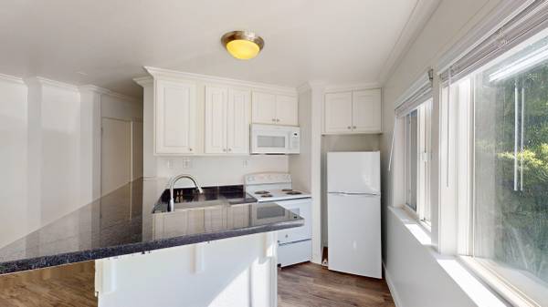 $1,995 ✨ Bright Studio in Prime San Rafael Location ✨ (san rafael)63850427190787124