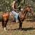 Gentle Quarter Horse Gelding Broke to Ride - Lucky 2 thumbnail
