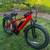 Adult electric bike ebike 13 thumbnail