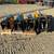 Excavator Breakers / Hammers - Various Sizes Available - No Sales Tax 9 thumbnail