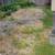Lawn care services. 458 331 7022 .eugene,coburg,cottage grove,monroe etec 15 thumbnail