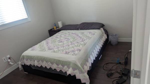 Edmonton New Home Basement 1,400 / month 3