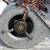 Furnace blower fan 1 thumbnail